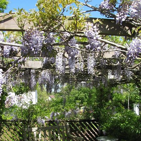 Hotel Broadhayes Totnes Exterior foto