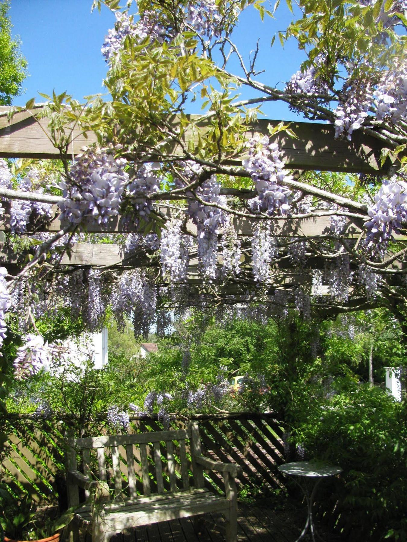 Hotel Broadhayes Totnes Exterior foto